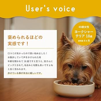 Amazon | 【獣医師監修】うちの関節サポート （90粒/1袋） 犬 猫